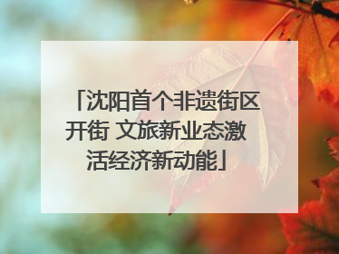沈阳首个非遗街区开街 文旅新业态激活经济新动能