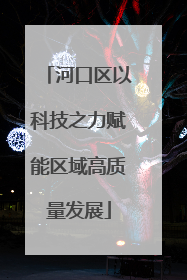 河口区以科技之力赋能区域高质量发展