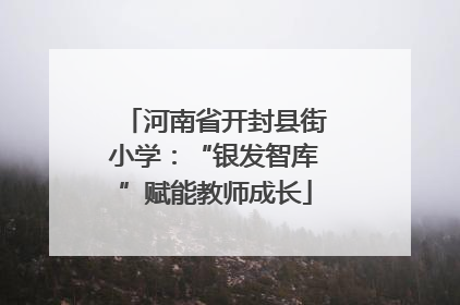 河南省开封县街小学：“银发智库”赋能教师成长