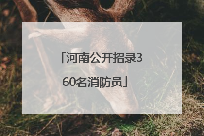 河南公开招录360名消防员
