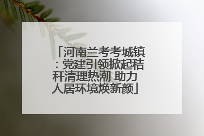 河南兰考考城镇：党建引领掀起秸秆清理热潮 助力人居环境焕新颜
