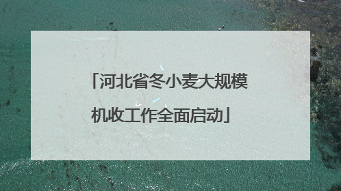 河北省冬小麦大规模机收工作全面启动