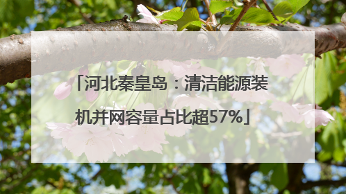 河北秦皇岛：清洁能源装机并网容量占比超57%