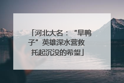 河北大名：“旱鸭子”英雄深水营救 托起沉没的希望