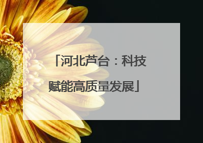 河北芦台：科技赋能高质量发展