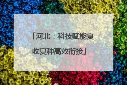 河北：科技赋能夏收夏种高效衔接