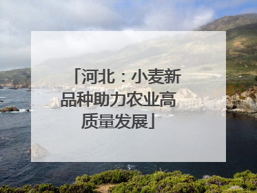 河北：小麦新品种助力农业高质量发展