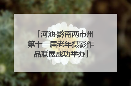 河池·黔南两市州第十一届老年摄影作品联展成功举办