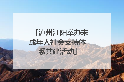 泸州江阳举办未成年人社会支持体系共建活动