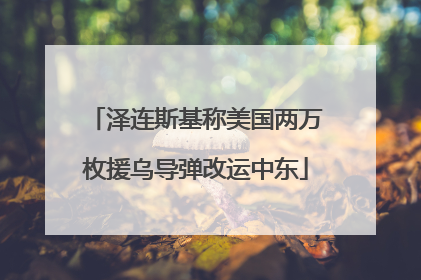 泽连斯基称美国两万枚援乌导弹改运中东