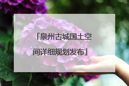 泉州古城国土空间详细规划发布