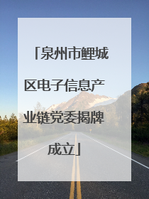 泉州市鲤城区电子信息产业链党委揭牌成立