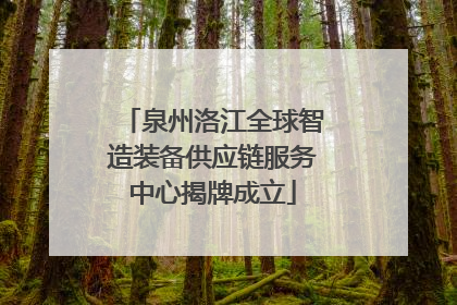 泉州洛江全球智造装备供应链服务中心揭牌成立