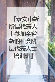 泰安市新阶层代表人士参加全省新的社会阶层代表人士培训班