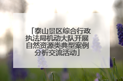 泰山景区综合行政执法局机动大队开展自然资源类典型案例分析交流活动