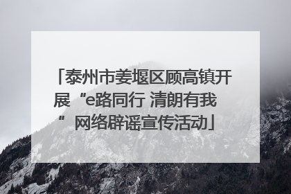 泰州市姜堰区顾高镇开展“e路同行 清朗有我”网络辟谣宣传活动