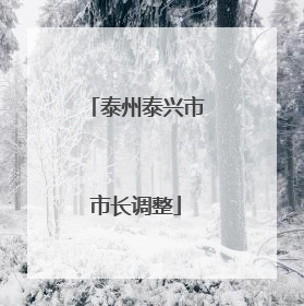 泰州泰兴市市长调整