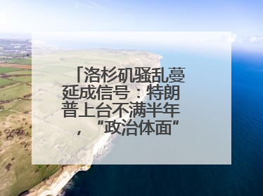 洛杉矶骚乱蔓延成信号：特朗普上台不满半年，“政治体面”似被弃为敝履