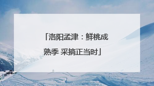 洛阳孟津：鲜桃成熟季 采摘正当时