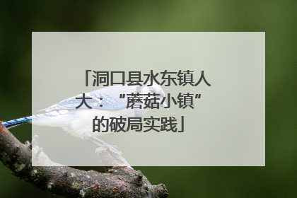 洞口县水东镇人大：“蘑菇小镇”的破局实践