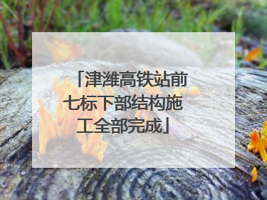 津潍高铁站前七标下部结构施工全部完成