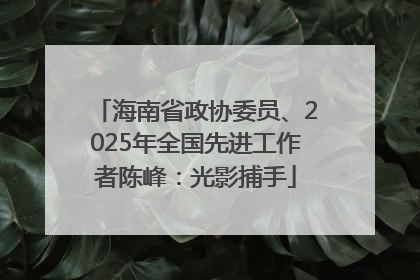 海南省政协委员、2025年全国先进工作者陈峰：光影捕手