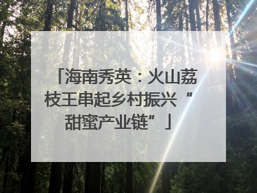海南秀英：火山荔枝王串起乡村振兴“甜蜜产业链”