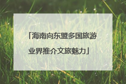 海南向东盟多国旅游业界推介文旅魅力