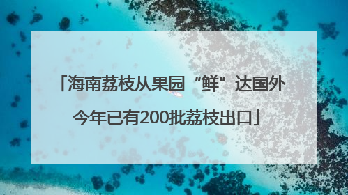 海南荔枝从果园“鲜”达国外 今年已有200批荔枝出口