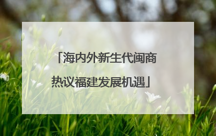 海内外新生代闽商热议福建发展机遇