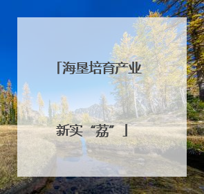 海垦培育产业新实“荔”