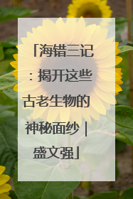 海错三记：揭开这些古老生物的神秘面纱｜盛文强
