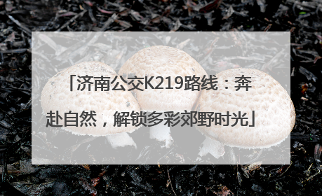 济南公交K219路线：奔赴自然，解锁多彩郊野时光
