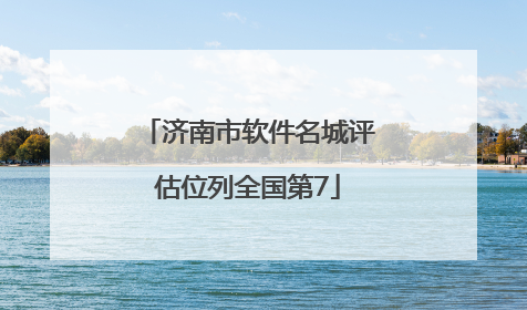 济南市软件名城评估位列全国第7