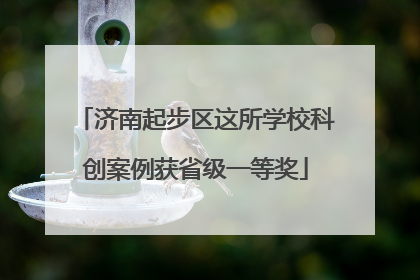 济南起步区这所学校科创案例获省级一等奖