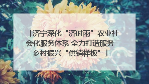 济宁深化“济时雨”农业社会化服务体系 全力打造服务乡村振兴“供销样板”