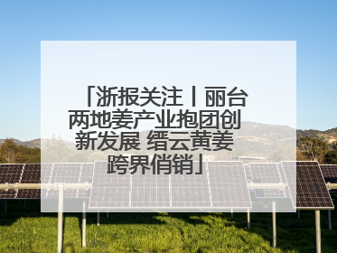 浙报关注丨丽台两地姜产业抱团创新发展 缙云黄姜跨界俏销