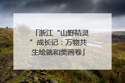浙江“山野精灵”成长记：万物共生绘就和美画卷