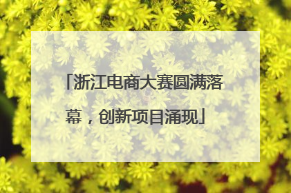 浙江电商大赛圆满落幕，创新项目涌现