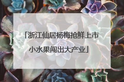 浙江仙居杨梅抢鲜上市 小水果闯出大产业