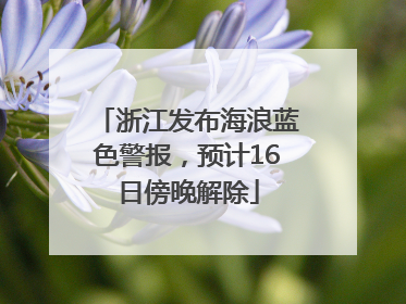 浙江发布海浪蓝色警报，预计16日傍晚解除