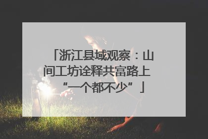 浙江县域观察：山间工坊诠释共富路上“一个都不少”