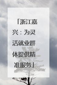 浙江嘉兴：为灵活就业群体提供精准服务