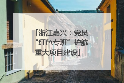 浙江嘉兴：党员“红色专班”护航重大项目建设