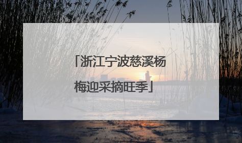 浙江宁波慈溪杨梅迎采摘旺季
