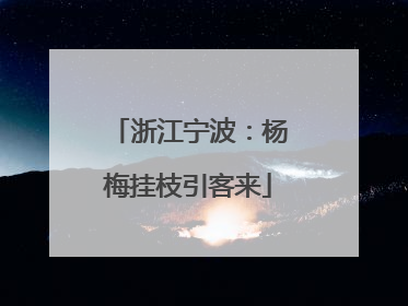 浙江宁波：杨梅挂枝引客来
