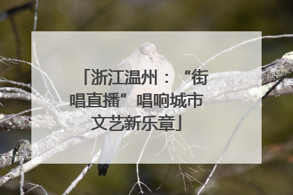 浙江温州:“街唱直播”唱响城市文艺新乐章