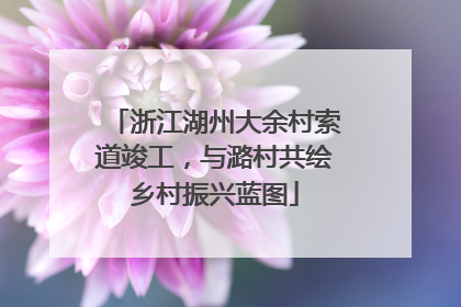 浙江湖州大余村索道竣工，与潞村共绘乡村振兴蓝图