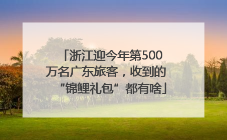 浙江迎今年第500万名广东旅客，收到的“锦鲤礼包”都有啥