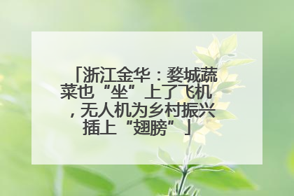 浙江金华：婺城蔬菜也“坐”上了飞机，无人机为乡村振兴插上“翅膀”